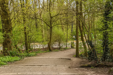 some steps in the park, with trees and plants on either sides leading up to one another is visible behind
