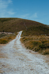 fotografía de un camino hacia una montaña 
