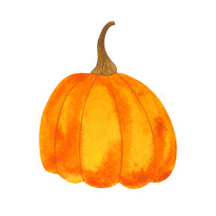 pumpkins, halloween decoration, watercolor hand drawn vintage, isolated picture illustrating autumn theme