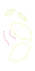 Obraz premium Hand drawn Lemon line drawing