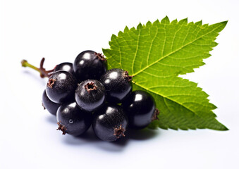 Blackcurrant berries fruit on white background.Macro.AI Generative