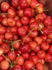 red cherries background
