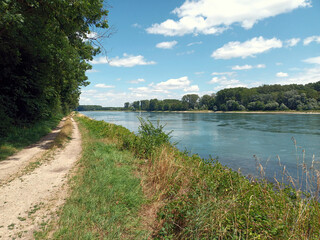 Alter Treidlerweg am Rheinufer bei Hördt in Rheinland-Pfalz in der Hördter Rheinaue im Landkreis...