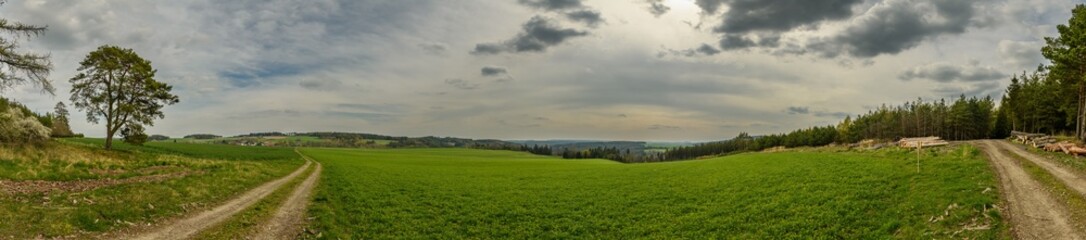 panorama of country side with dirt road, meadow, forest