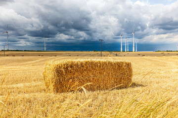 Wind turbines landscape scenery and grain fields with dramatic sky. hay bales in field. Storm over...