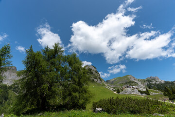 Fototapeta na wymiar Panorama Rofangebirge mit Alm.