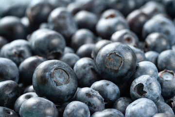 Fresh blueberry background with copy space. Vegan and vegetarian concept. Macro texture of blueberries. Summer healthy food