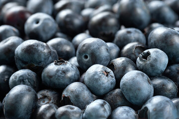 Fresh blueberry background. Blueberry texture close up. Sprinkle blueberries. Ripe blueberries with copy space. Scattered fresh blueberries