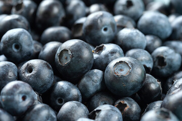 Fresh blueberry background. Blueberry texture close up. Sprinkle blueberries. Ripe blueberry with copy-space. Fresh blueberries scattered around. Selective focus