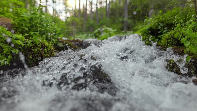 Crystal clear water in small mountain river in the forest. Fast stream in green forest with small waterfalls. Slow motion, steadicam shot