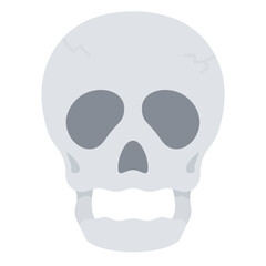 human skull isolated on white