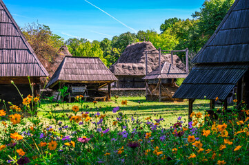 traditional houses from Berbesti, Maramures. Dimitrie Gusti National Village museum in Bucharest,...