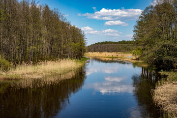 Fototapeta na wymiar Zeimena river flowing through Svencioneliai, Lithuania