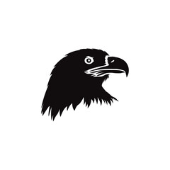 eagle head isolated on white vector
