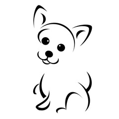 Fototapeta premium Chihuahua puppy stylized line drawing