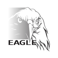 Eagle head logo vector illustration