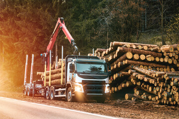 Logging Operations in the Swiss Alps: Loading Logs onto Hydraulic Machinery on a Logging Truck