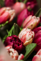 Bouquet of pink and burgundy tulips on a light background. Spring bouquet, March 8, spring, love....