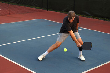 pickleball backhand