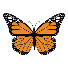 butterfly flat vector art on white background