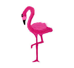 pink flamingo isolated on white