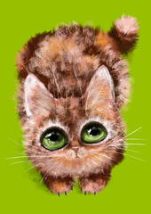 Hand-drawn Fluffy brown cute kitten digital illustration