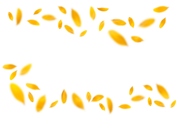 ヒマワリの花びらを切り抜いた、真夏の背景イメージ