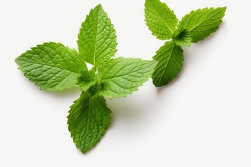 fresh mint leaves with real transparent shadow isolated on transparent background, Generative AI