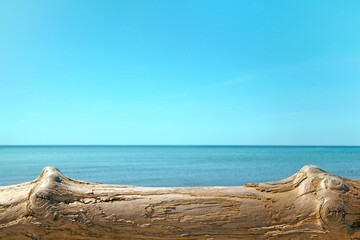 Wooden surface of weathered tree trunk on shore of beautiful turquoise sea. Podium template for...