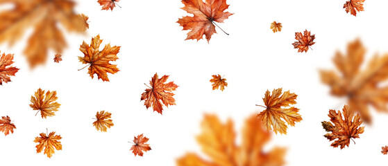 Autumn leaves background. generative AI