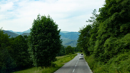 road in the forest