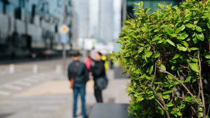 Defocus business city center street on sunny day, copy space. Selective focus on green plant