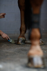 Close detail for repairing horse hoofs