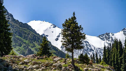 beautiful mountain gorge. the green gorge. summer mountains