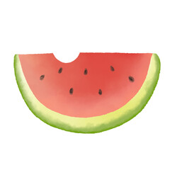 Hand drawn watercolor painting watermelon on white background.
