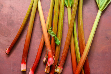 Delicious, fresh and ripe rhubarbs lying on a rustic burgundy table. The beautiful red and green rhubarbs has just been harvested.