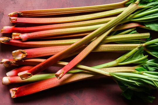 Delicious, fresh and ripe rhubarbs lying on a rustic burgundy table. The beautiful red and green rhubarbs has just been harvested.