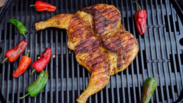 Cooking fried roast Chicken Tabaka on grill with vegetables.Tobacco chicken. Outdoor