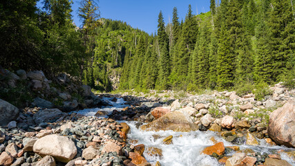 a river in a beautiful mountain gorge. the green gorge. summer mountains