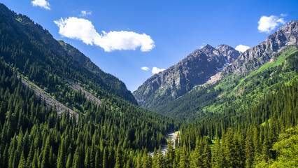 beautiful mountain gorge. the green gorge. summer mountains