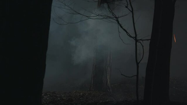 Spooky view of clubbing smoke or fog among the dark tree trunks, ground with fallen leaves. Creepy night autumn forest landscape. Horror scene, mysterious atmosphere, haunted woods