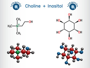 Vitamin B4 and Vitamin B8, combined together in supplements. Structural chemical formula, molecule model. Vector