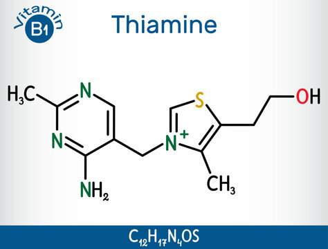 Thiamine, vitamin B1 molecule. Found in food, used as a dietary supplement and medication.  Structural chemical formula. Vector