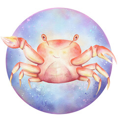Crab in the sea