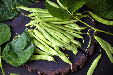 Pods of young, fresh, green asparagus beans