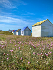 colorful beach huts