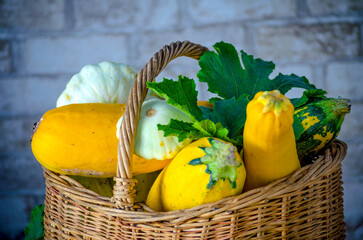 fresh zucchini and squash in a wicker basket