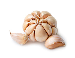 Single fresh white garlic bulb with segments isolated on white background with clipping path, Thai herb is great for healing several severe diseases, heart attack. Top view and close up photo