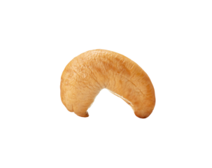 Close up of single roasted peeled cashew nut isolated on white background with clipping path in png file format