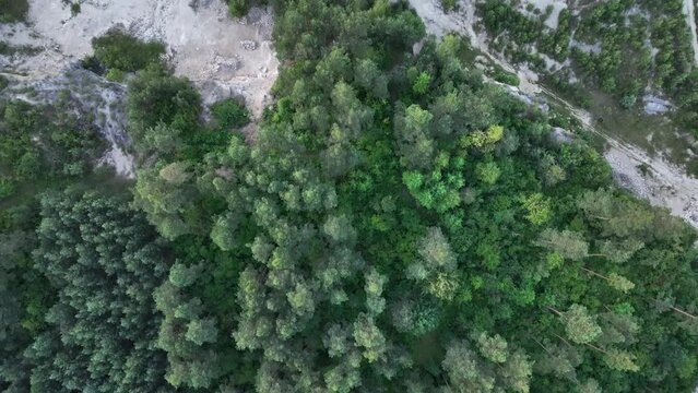 Widok lasu z lotu ptaka, lot tronem nad drzewami w lesie. Niebo i las z lotu ptaka. 